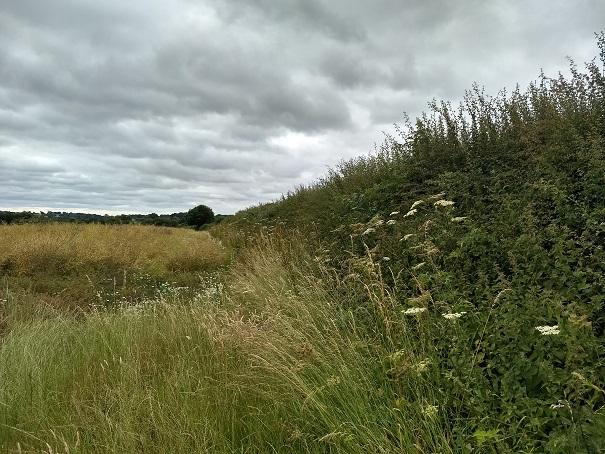 IMG_20190713_103345805_HDR