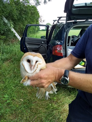 20190802 Upper Waterhay