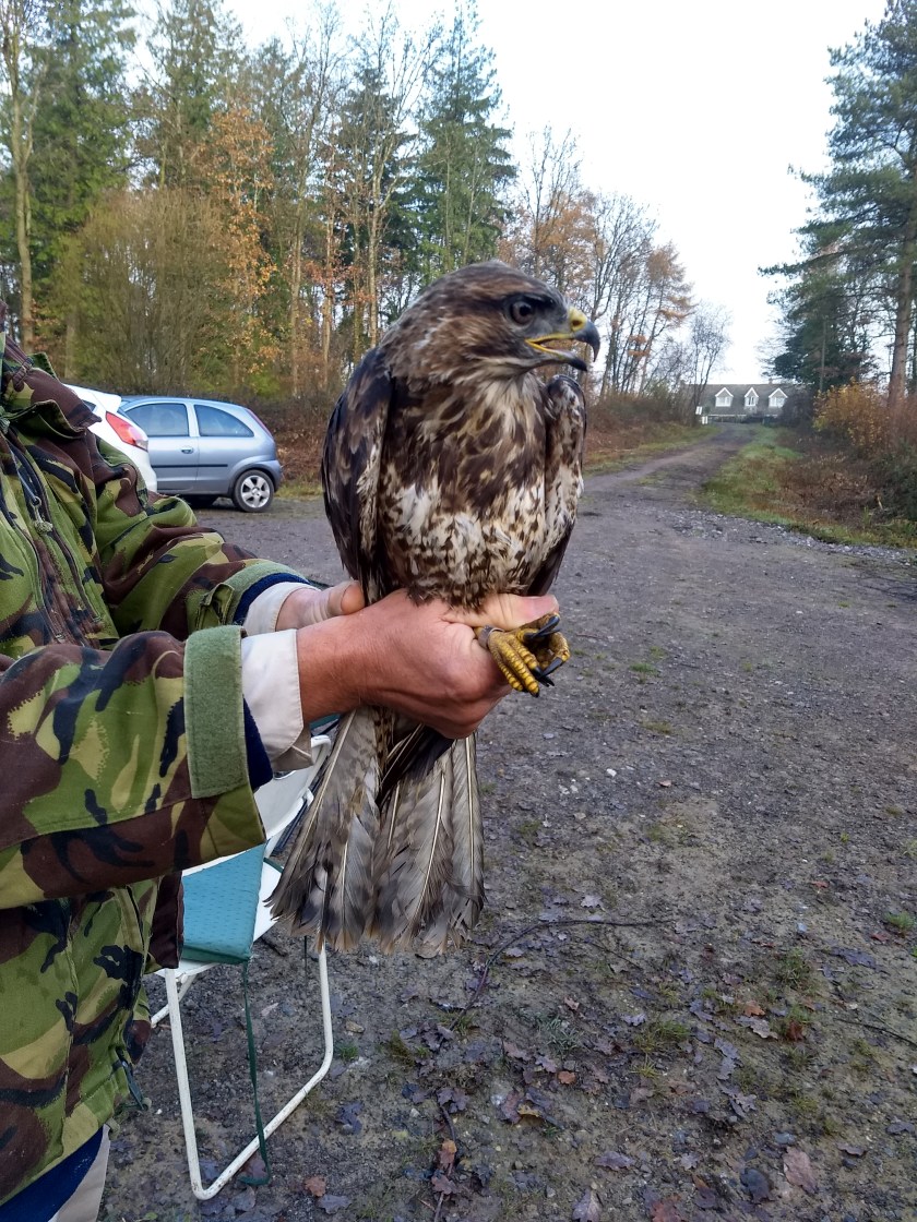 IMG_20191130_093619741_HDR