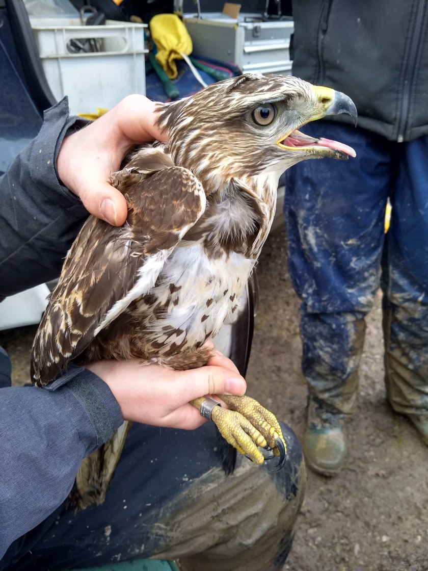 IMG_20191130_110608972_HDR