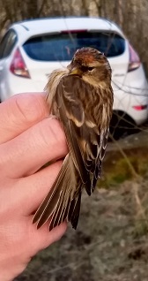 IMG_20200206_083021546_HDR