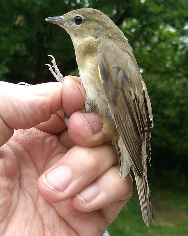 
Add lightbox effect

Settings
