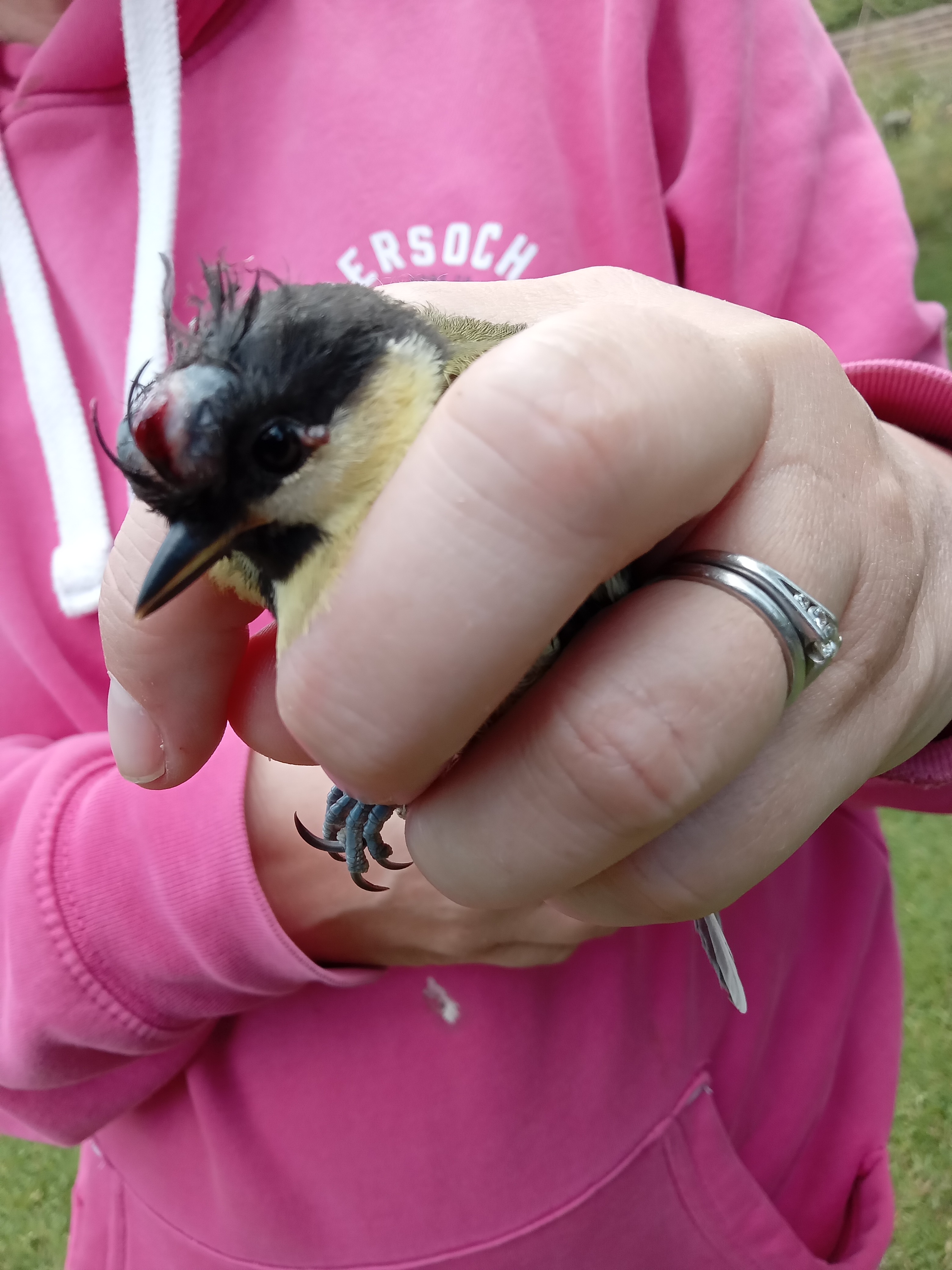 Preston, nr Cirencester: Sunday, 15th June 2025 – Ringing In The ...